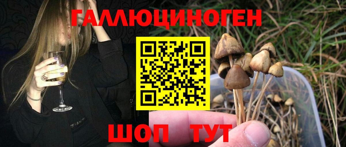 Галлюциногенные грибы Magic Shrooms  Вход с VPN  Камень-на-Оби 
